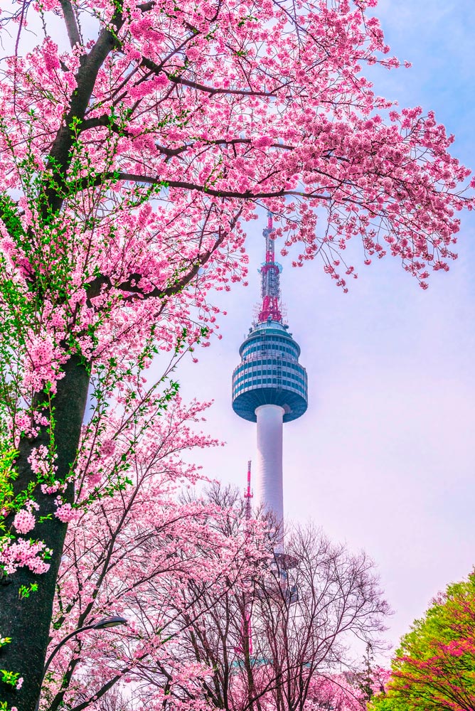 Corea del Sur