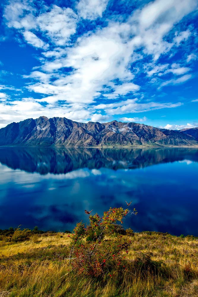 Nueva zelanda