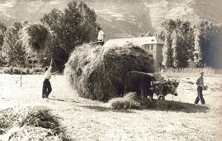 Labores agrícolas en el Valle de Benasque